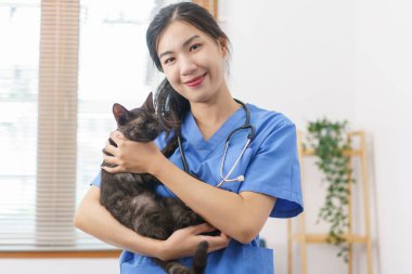 Hayvan bakımı konsepti, sağlık kedisini muayene ettikten sonra kadın veterinerin oynaması ve sevimli kediye sarılması..