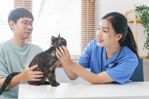 Pet care concept, Female veterinary is examining the cat on examination table in vet clinic.