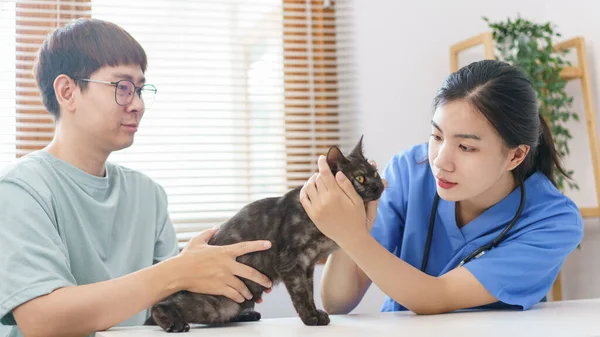 ペットケアの概念 女性獣医師は獣医診療所の診察台で猫を検査しています — ストック写真