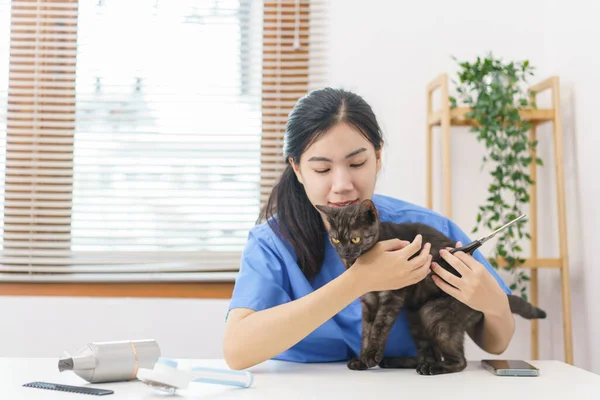 ペットサロンのコンセプト 女性の獣医師は サロンで猫の毛皮をトリミングするためにはさみを使用した後 猫を抱きしめる — ストック写真