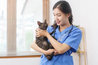 Hayvan bakımı konsepti, sağlık kedisini muayene ettikten sonra kadın veterinerin oynaması ve sevimli kediye sarılması..