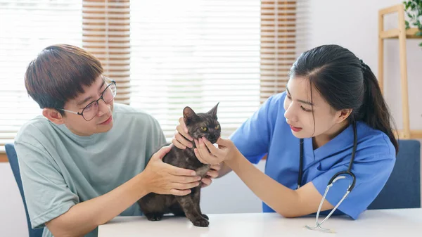 Sällskapsdjur Vård Koncept Kvinna Veterinär Undersöker Katten Undersökningsbordet Veterinärkliniken — Stockfoto