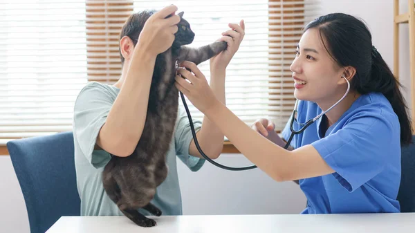 Pet care concept, Female veterinary use stethoscope to check breath of little kitten in vet clinic.