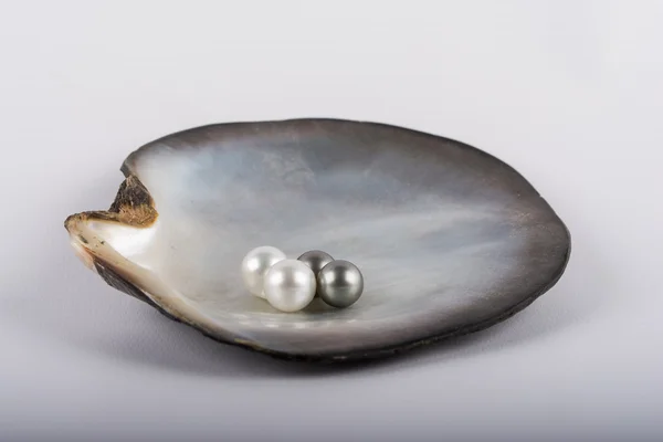 Perle tahitiane — Foto Stock