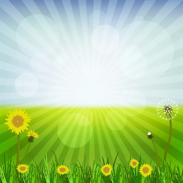 Pissenlits au printemps — Image vectorielle