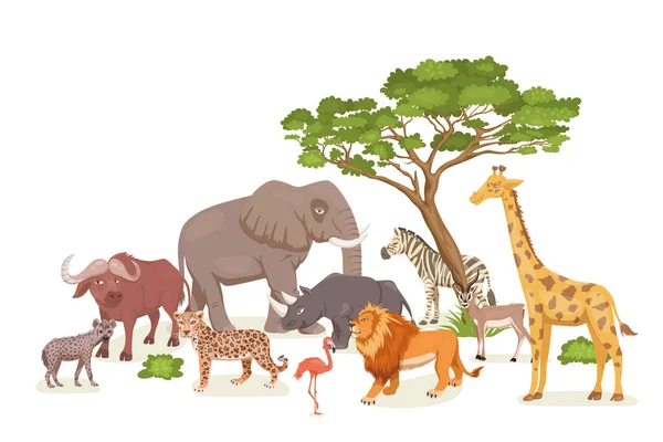 Set di animali selvatici della savana africana. Leone, rinoceronte, zebra, bufalo, giraffa, fenicottero, leopardo, gazzella, elefante, iena. Illustrazione vettoriale piatta. Animali d'Africa. Savannh Safari Concetto — Vettoriale Stock