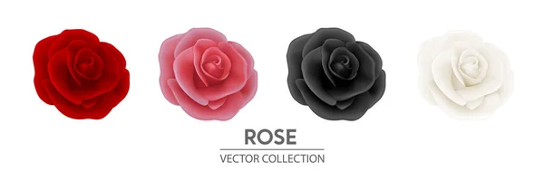 Vecteur 3d réaliste fleur Rose Icône Set Fermer Isolé sur blanc. Red, Pink, Black, White Rose Buds. Collection de roses décoratives. Modèle de conception de fleur de rose, Clipart — Image vectorielle