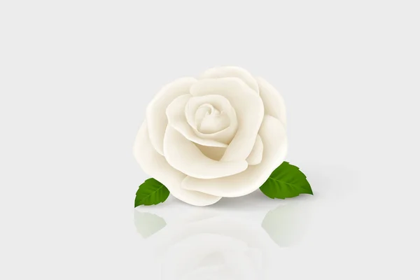 Vector 3d Realistico Fiore Bianco Rosa Primo Piano Isolato su Bianco. Modello Rose Bud Design. Sfondo con Rosa decorativa. Modello di design del fiore di rosa, Clipart — Vettoriale Stock