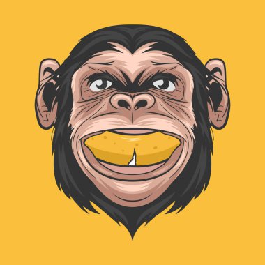 Ağızında muzla gülümseyen şempanze maymunu çizen vektör eli. Renkli Soyut Komik Maymun Kafa Duvar Sanatı, Tişört Yazdırma, Poster. Şirin Şempanze Maymun Simgesi, Logo, Çizim.