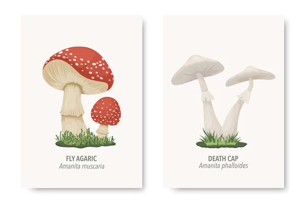 Vector Champignons Non Comestibles Toxiques Ensemble Champignons Dessin Animé Dessiné — Image vectorielle