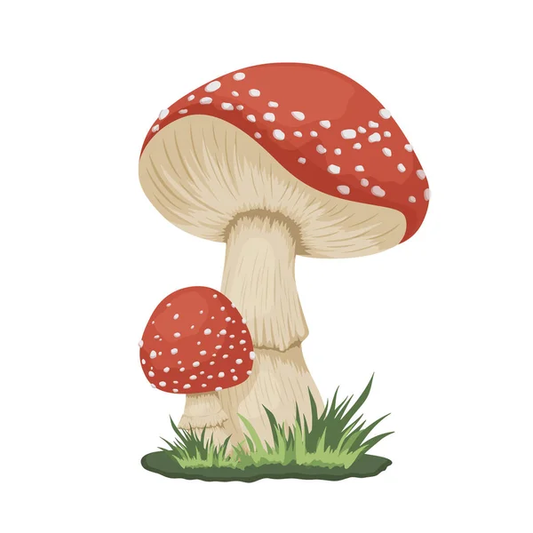 Vector Poisonous Inedible Mushroom Icon Isolated White Hand Drawn Cartoon — стоковий вектор