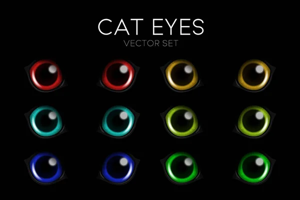 Vector Realistic Cat Eye Black Cat Red Yellow Blue Green — Stock Vector