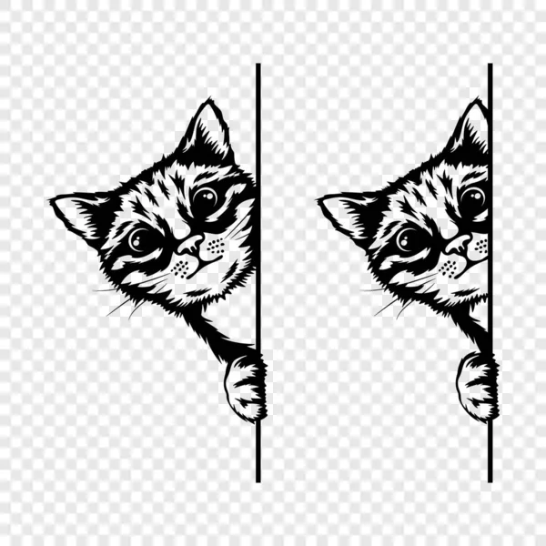 Vecteur Monochrome Main Dessin Noir Blanc Caché Peeking Kitten Tête — Image vectorielle
