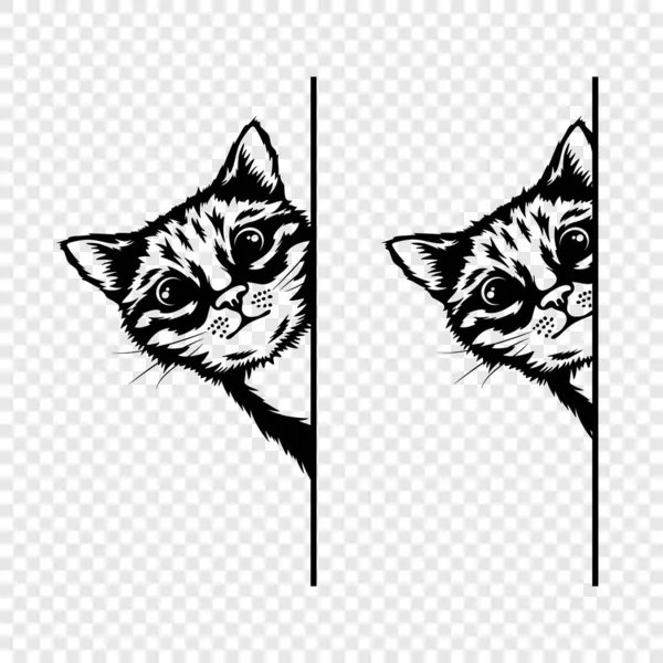 Vector Monochrome Hand Drawm Zwart Wit Verbergen Peeking Kitten Kijkende — Stockvector