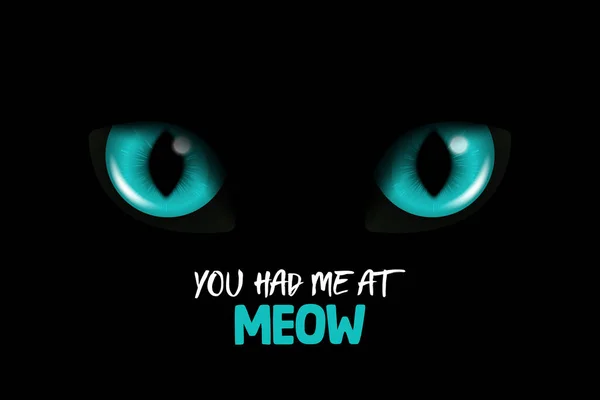 You Had Meow Vector Realistic Blue Glowing Cats Eyes Black — Stock Vector