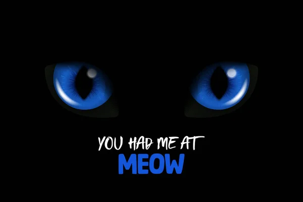 Tiveste Meow Vector Realista Azul Brilhante Gatos Olhos Gato Preto — Vetor de Stock