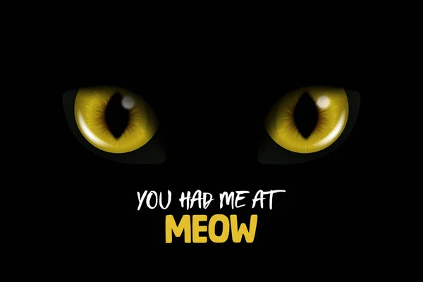 你有我在Meow 矢量3D现实黄色或橙色闪烁着猫眼的黑猫 黑黑的背景下的猫看 发光的猫或豹的眼睛 — 图库矢量图片
