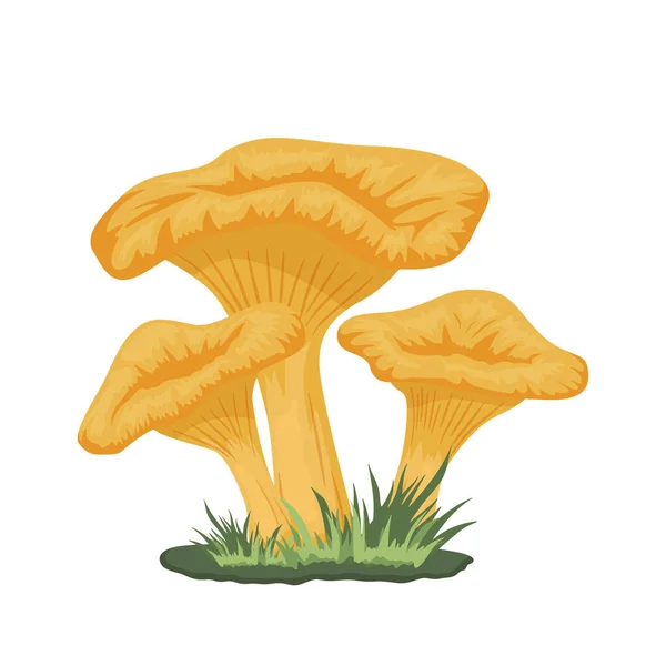 Vector Three Chanterelle Mushroom Meadow Hand Drawn Cartoon Yellow Chanterelle — стоковий вектор
