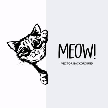 Vector Monochrome Hand Black, Pençeli Beyaz Saklanan Kedi Yavrusu. Dikey Boş Beyaz Plaket, Poster, Pankart Üzerine Kedi Kafası Bakışı. Evcil kedi yavrusu Garip bir şekilde Beyaz Arkaplanının Arkasına Bakıyor.
