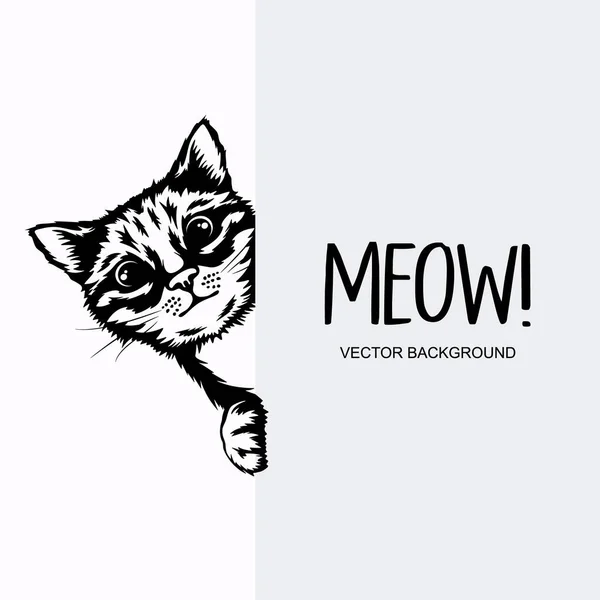 Vector Monochrome Hand Drawn Black White Hiding Peeking Kitten Paws — Stock Vector