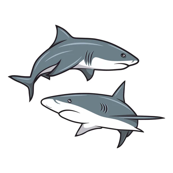 Conjunto Tubarões Dos Desenhos Animados Vetores Isolado Tubarões Brancos Coloridos —  Vetores de Stock