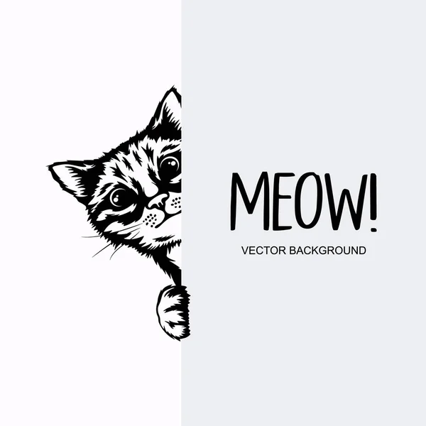 Vector Monochrome Hand Drawn Black White Hiding Peeking Kitten Paws — Stock Vector