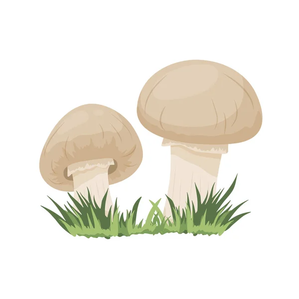 Vector Champignon Mushroom Set Isolated White Hand Drawn Cartoon Champignon — Vettoriale Stock