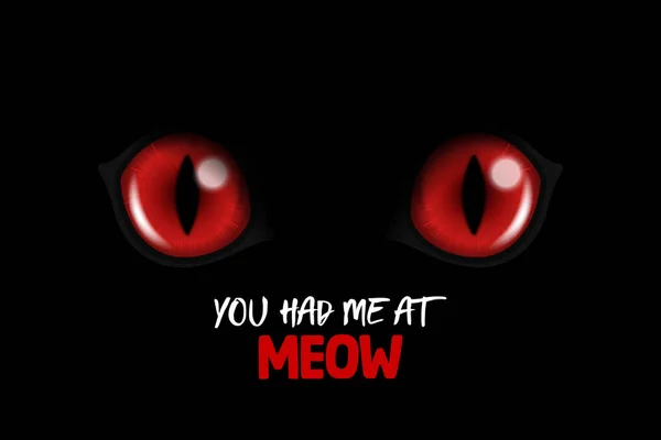 Tuviste Meow Vector Realista Red Gatos Brillantes Ojos Gato Negro — Archivo Imágenes Vectoriales