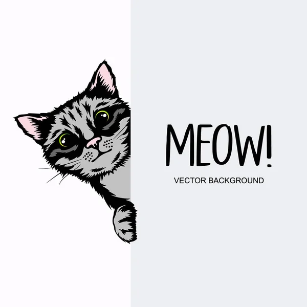 Vector Hand Drawm Ховаючий Кошеня Tabby Kitten Head Paws Peeking — стоковий вектор
