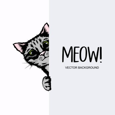 Vektör El Çizgili Saklanan Kedi Yavrusu. Pençeleri Boş Beyaz Tabela, Poster, Kart, Banner 'a Bakan Tekir Kedi Kafası. Evcil kedi yavrusu Garip bir şekilde Beyaz Arkaplanının Arkasına Bakıyor.