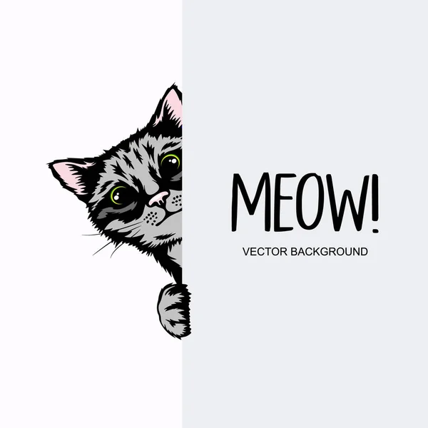 Vector Hand Drawm Striped Hiding Peeking Kitten Tabby Kitten Head — Stok Vektör
