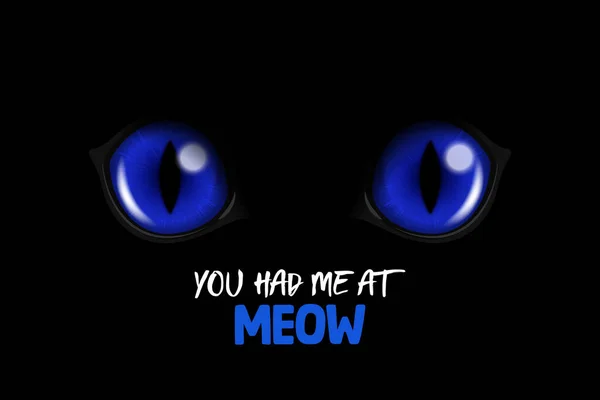 Dostals Mňau Vektor Realistické Modré Kulaté Zářící Kočky Oči Černé — Stockový vektor
