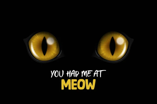 Meow Vecteur Réaliste Jaune Rond Brillant Chats Yeux Chat Noir — Image vectorielle