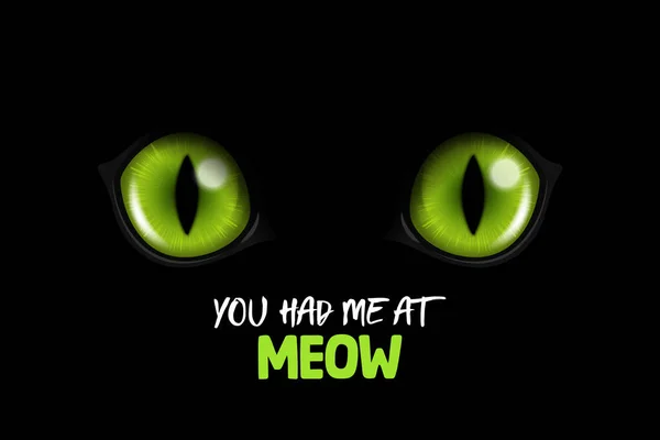 Meow Vecteur Réaliste Vert Rond Brillant Chats Yeux Chat Noir — Image vectorielle