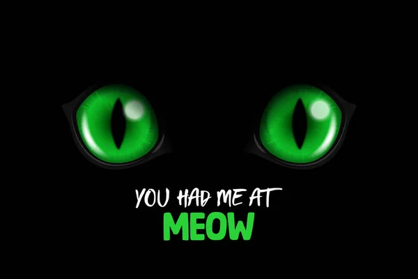 You Had Meow Vector Realistic Green Glowing Cats Eyes Black —  Vetores de Stock