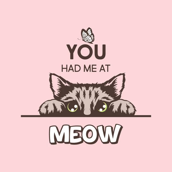 You Had Meow Vector Poster Cat Quote Hand Drawn Black — Stock Vector