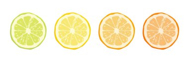 Vector Citrus Meyve Simgesi Seti - Sarı Limon, Yeşil Kireç, Turuncu Çince, Greyfurt. Yuvarlak Dilim Tasarım Elementi Beyaz Arkaplanda İzole Edildi.