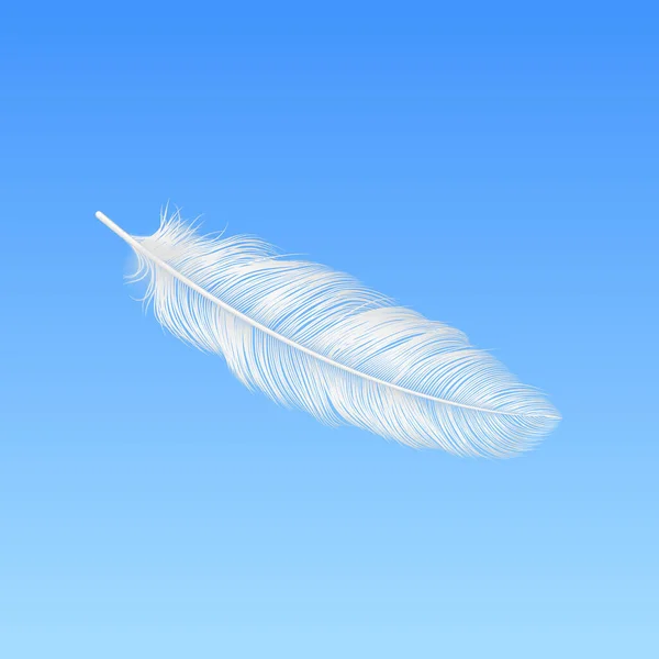 Vector Realistic Falling White Fluffy Feather Closeup Fundo Céu Azul —  Vetores de Stock