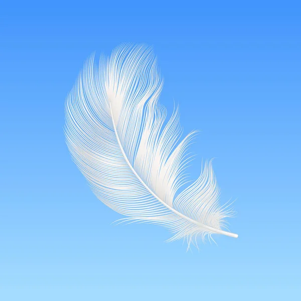 Vector Realistic Falling White Fluffy Feather Closeup Blue Sky Background — Stock Vector