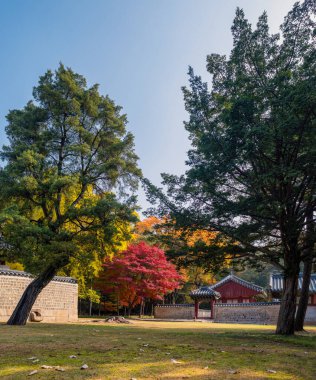 Güney Kore, Seul 'deki Kore Joseon Hanedanlığı' nın ölen kral ve kraliçelerine adanmış Jongmyo Konfüçyüs türbesi.