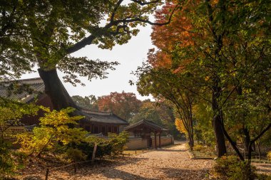 Güney Kore, Seul 'deki Kore Joseon Hanedanlığı' nın ölen kral ve kraliçelerine adanmış Jongmyo Konfüçyüs türbesi.