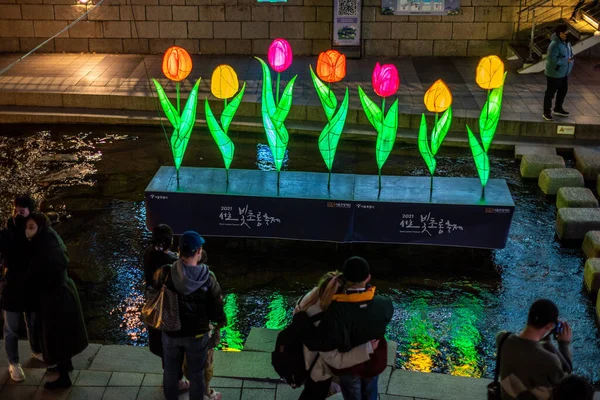 Festival Lanternas Seul Longo Riacho Cheonggyecheon Seul Coreia Sul Novembro — Fotografia de Stock