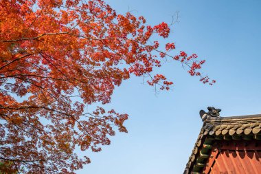 Güney Kore, Seul 'deki Kore Joseon Hanedanlığı' nın ölen kral ve kraliçelerine adanmış Jongmyo Konfüçyüs türbesi.