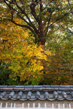 Güney Kore, Seul 'deki Kore Joseon Hanedanlığı' nın ölen kral ve kraliçelerine adanmış Jongmyo Konfüçyüs türbesi.