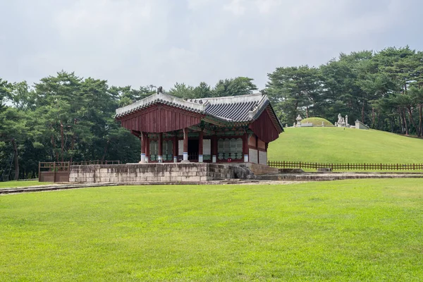 Donggureong East Nine Královské Hrobky Dynastie Joseon Guri Provincie Gyeonggi — Stock fotografie