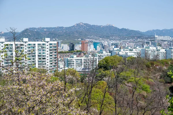 2022 서울의 만화경 — 스톡 사진