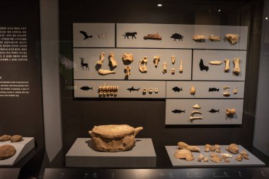 Busan Müzesi 19 Ekim 2022 'de Busan Güney Kore' de tarihi eser ve eserler koleksiyonu