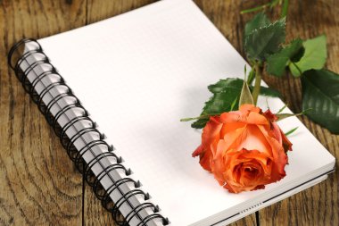 açık defter ile kırmızı gül 