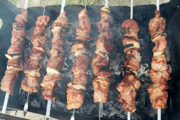 Salamura edilmiş şiş mangal ızgarasında mangal yapmaya hazırlanıyor. Şiş kebap ya da Şiş kebap Doğu Avrupa 'da popüler. Shashlyk (şiş et) aslında kuzudan yapılmıştır. Mangalda Biftek Kebabı..