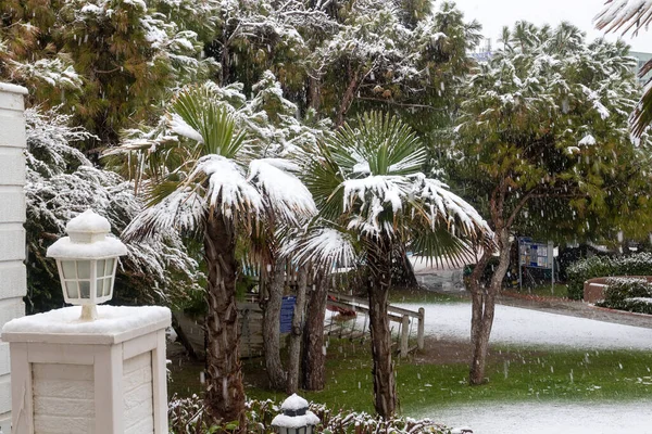 Belek Antalya Turchia Gennaio 2022 Pesanti Nevicate Sulla Costa Mediterranea — Foto Stock